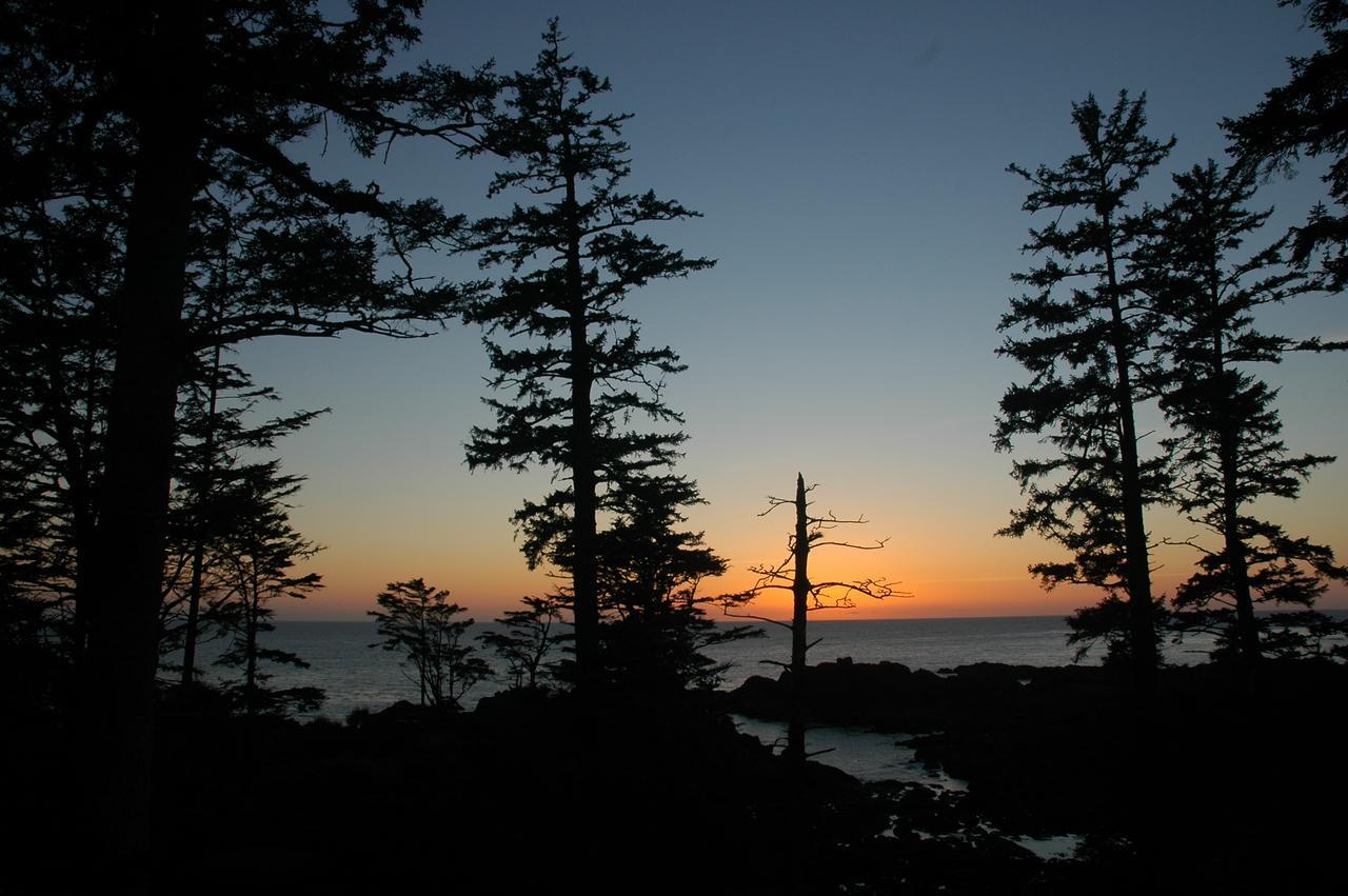 Waters Edge Shoreside Suites Ucluelet Exterior photo